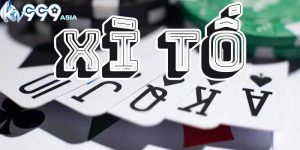 Game Bài Xì Tố - Khám Phá Thế Giới Bài Trí Tuệ Đỉnh Cao